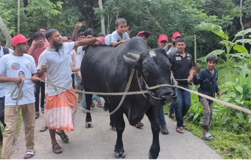 খালেদা জিয়াকে ‘কালো মানিক’ উপহার দিতে সোহাগের ঢাকায় যাত্রা